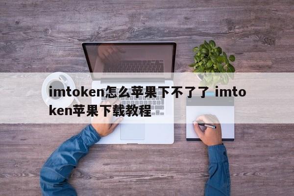 imtoken怎么苹果下不了了 imtoken苹果下载教程_苹果imtoken怎么下载_