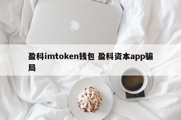 _imtoken钱包是什么_imtoken钱包是传销吗