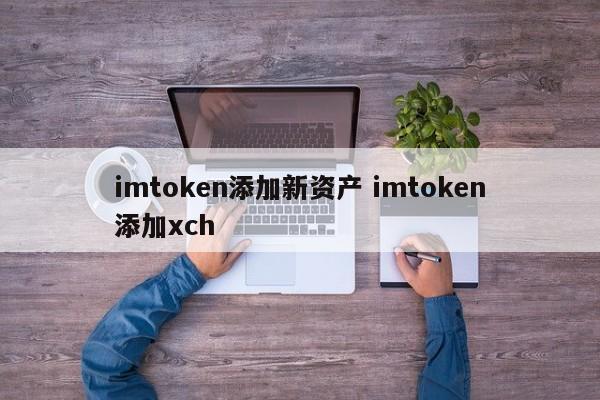 xch区块链浏览器查询__imtoken怎么添加新币种