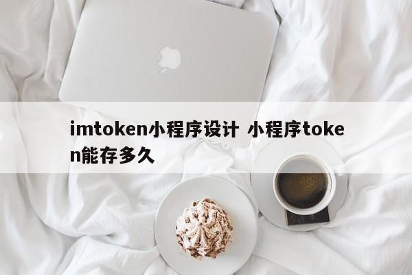 _程序设计小能手_小程序存储token